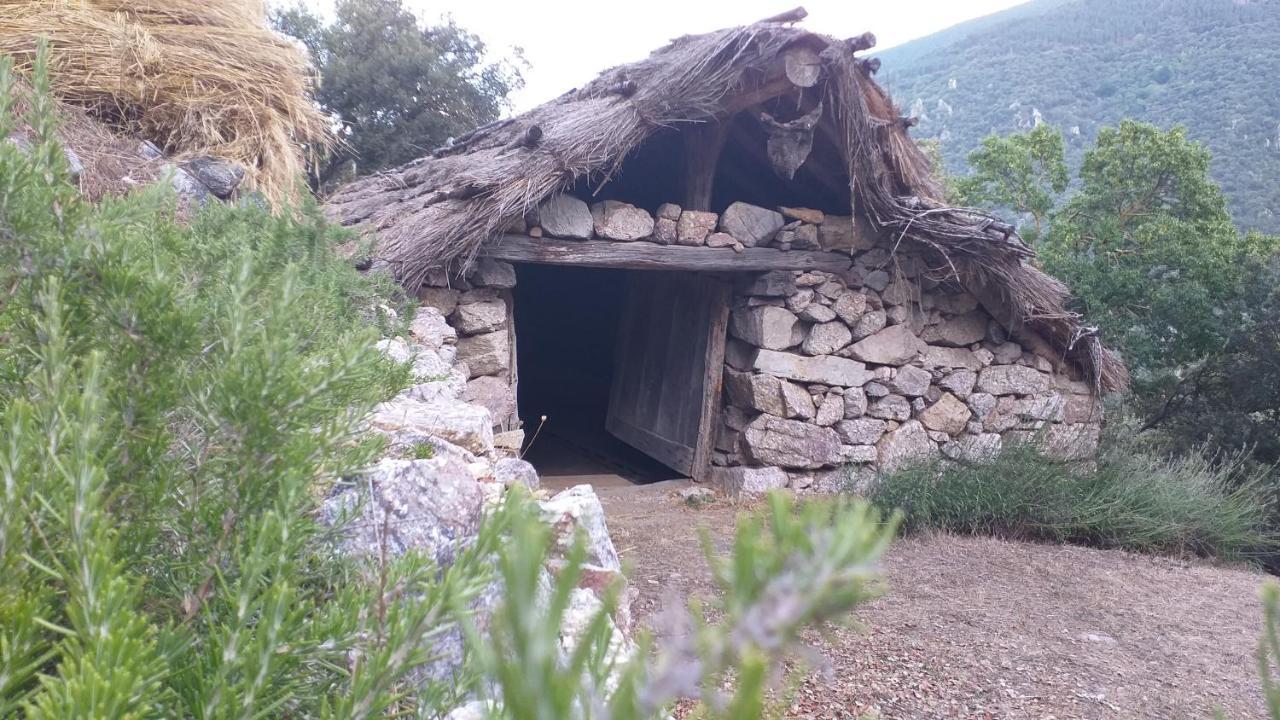 Casa Petra Y Armando Villa Anguiano Eksteriør billede